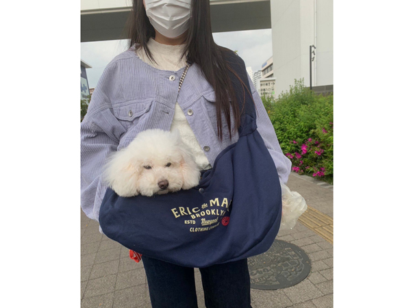 モデル犬卒業後、里親さん宅での様子♪～もんちゃん～